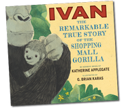 Ivan bookcover