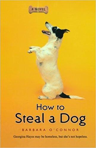 How to Steal a Dog book