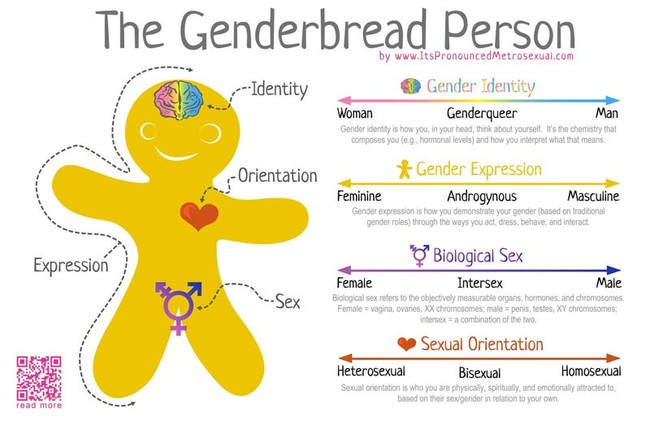 The Gender Bread Person
